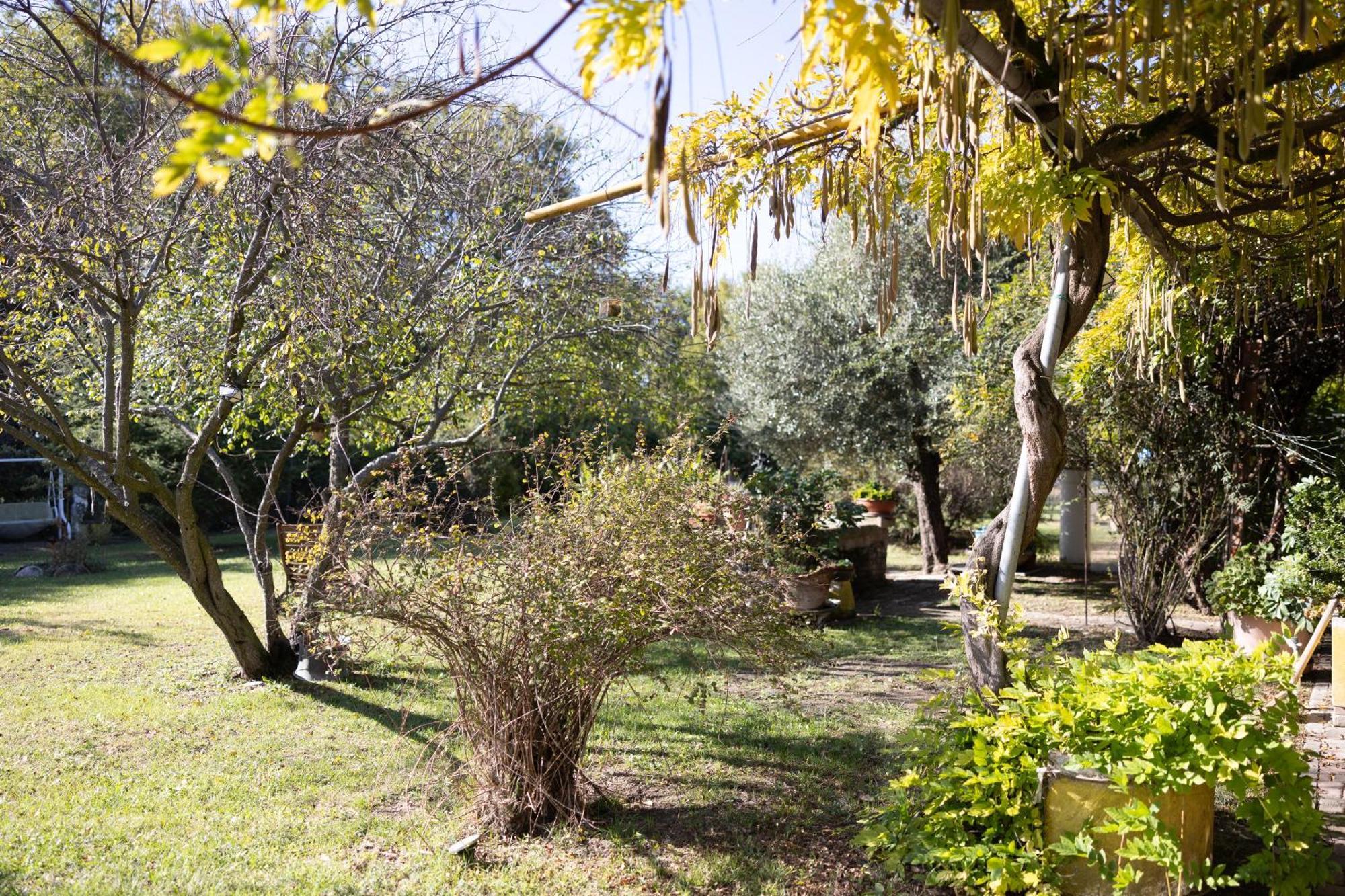Locanda Acetaia Malagoli Daniele Кастельфранко-Эмилия Экстерьер фото